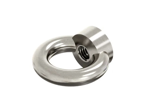 Oogmoer DIN 582 M6 RVS A2 Gegoten